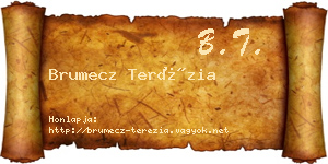 Brumecz Terézia névjegykártya